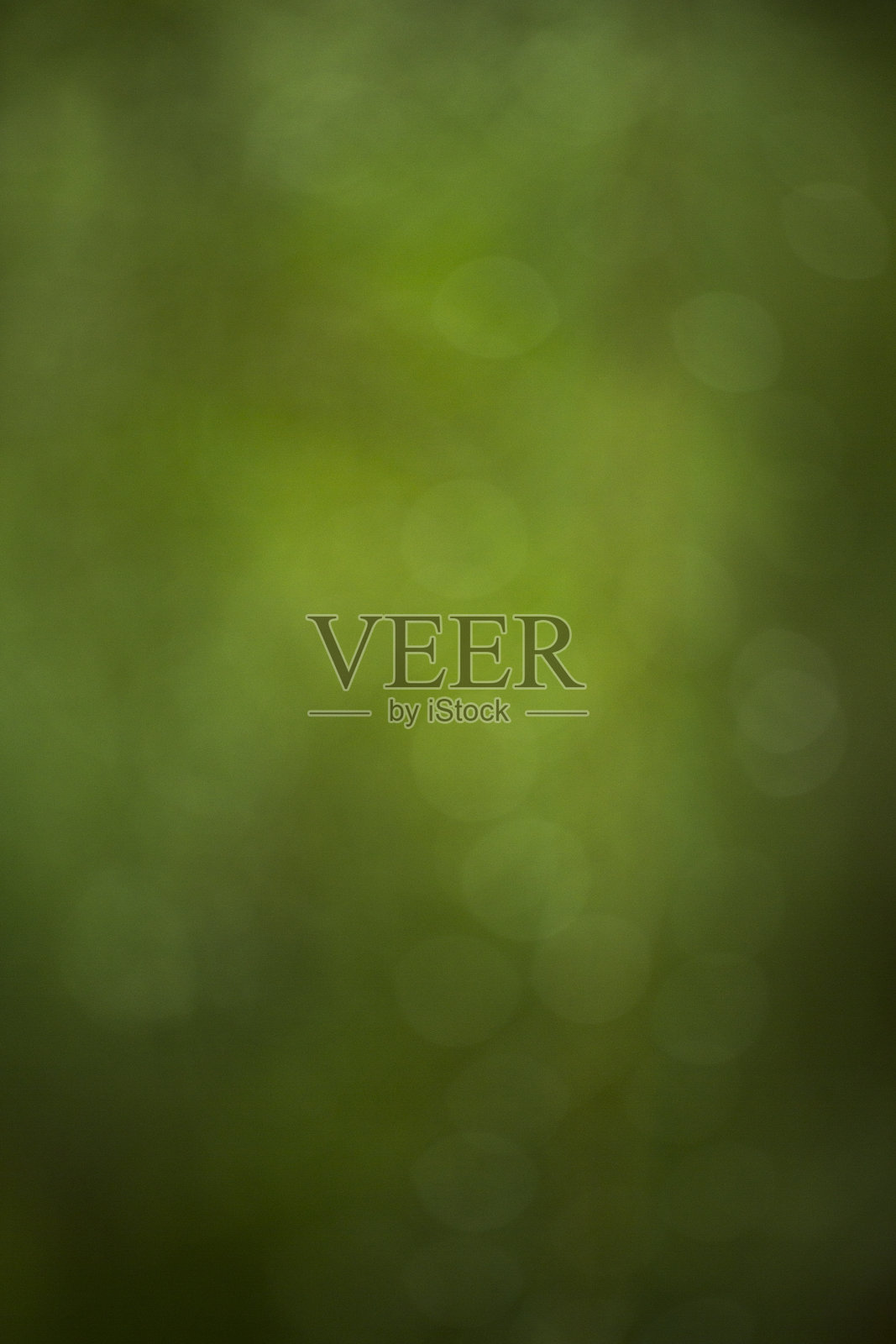 雨后。照片摄影图片