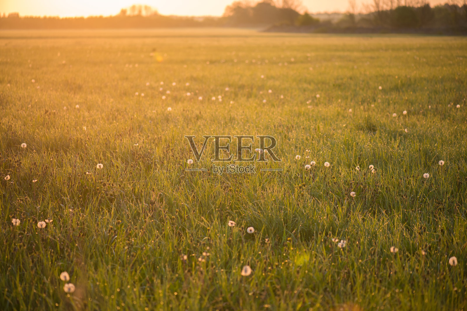 清晨的风景照片摄影图片