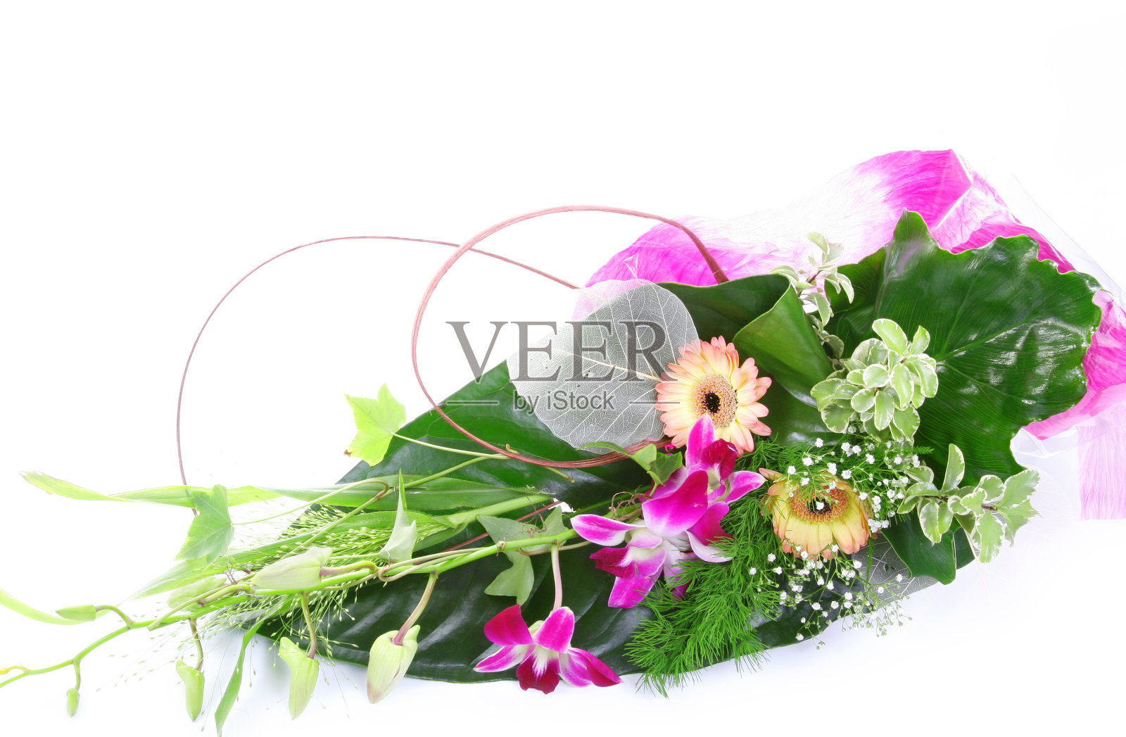 花束的背景照片摄影图片