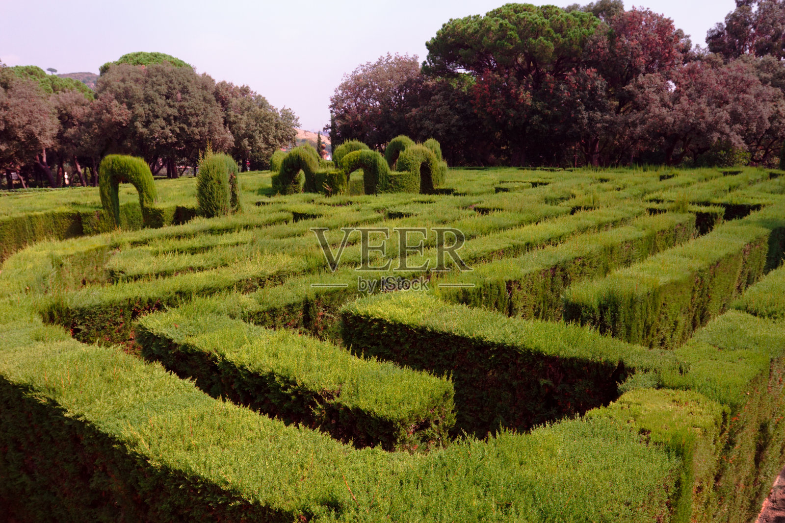 迷宫的概述照片摄影图片