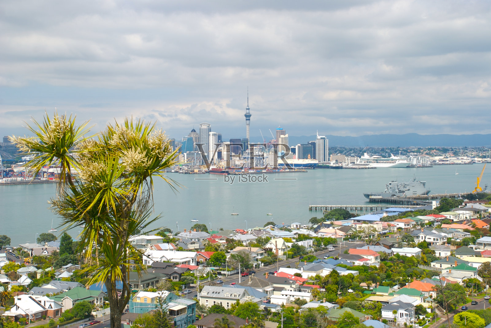 奥克兰城市照片摄影图片