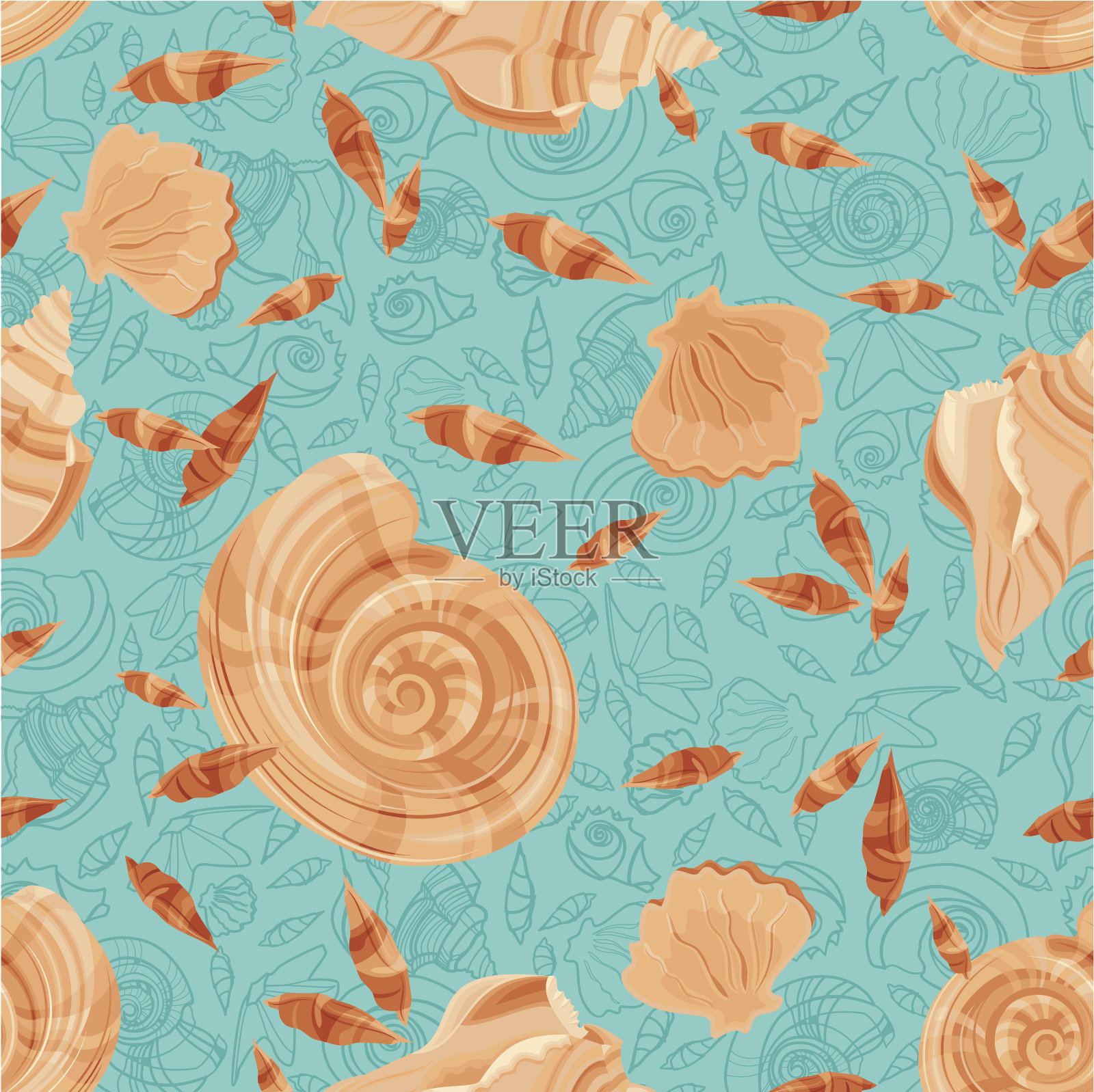 海贝壳模式插画图片素材