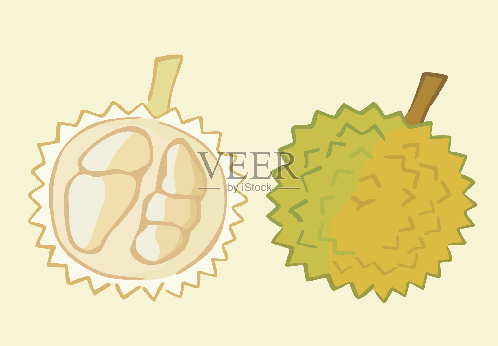 榴莲果插画图片素材