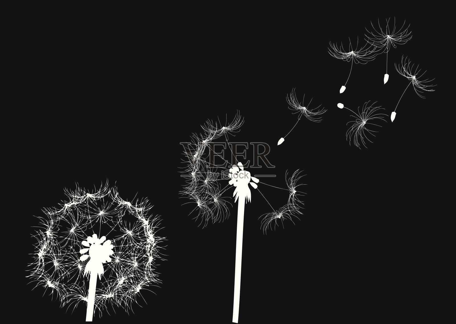 黑白矢量插画图片素材