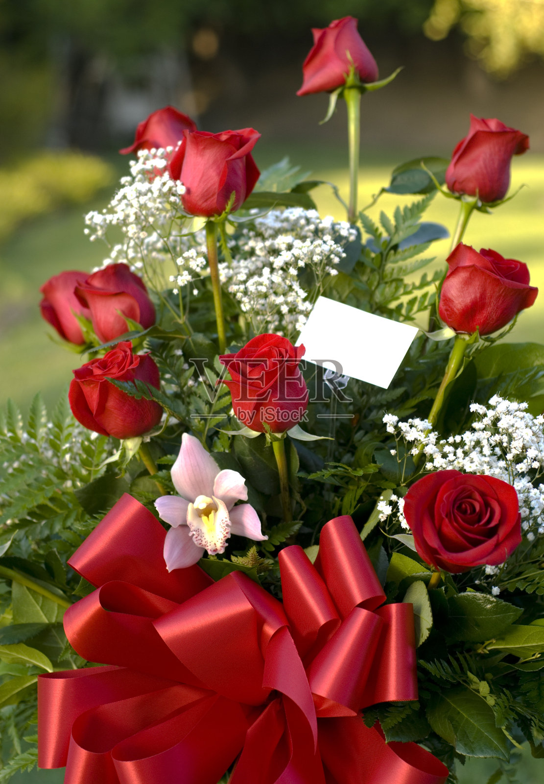 一束红玫瑰，情人节安排及礼品卡照片摄影图片