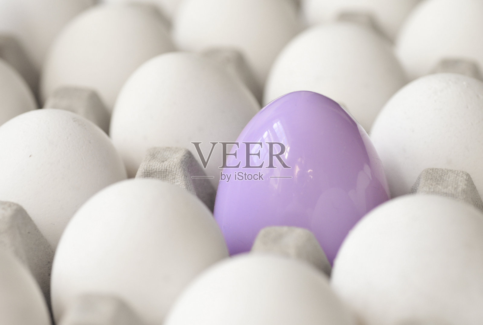 独一无二的照片摄影图片