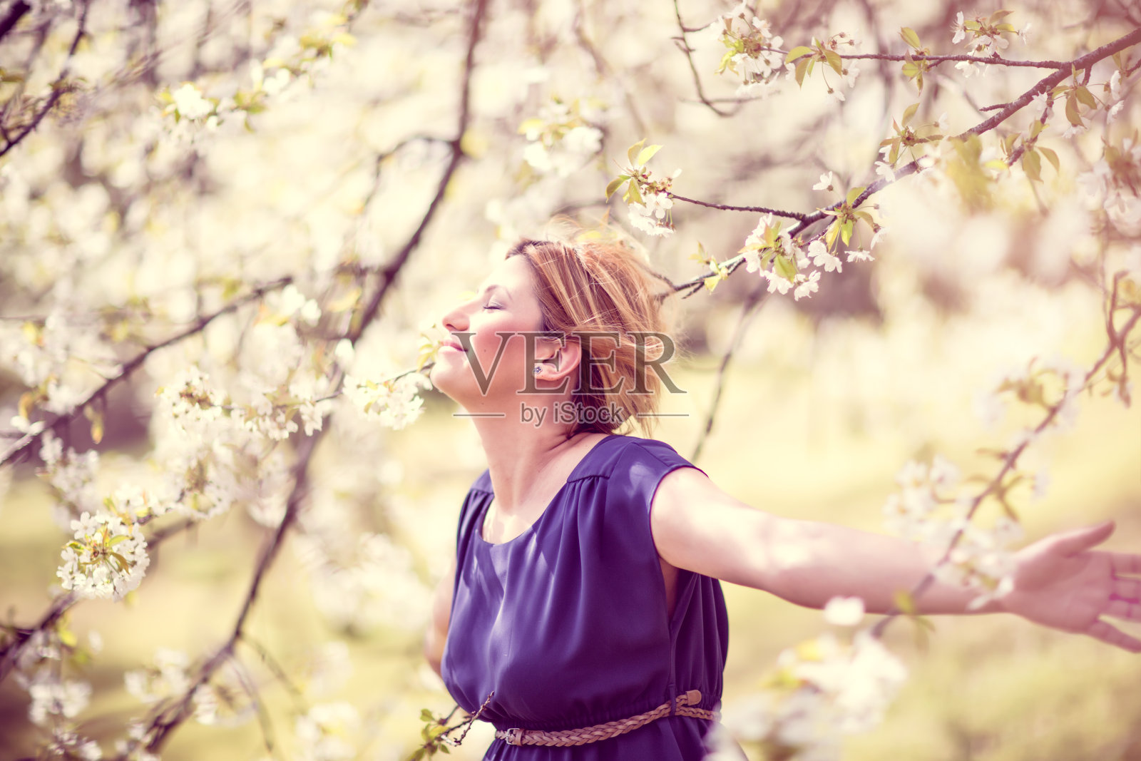 自由照片摄影图片