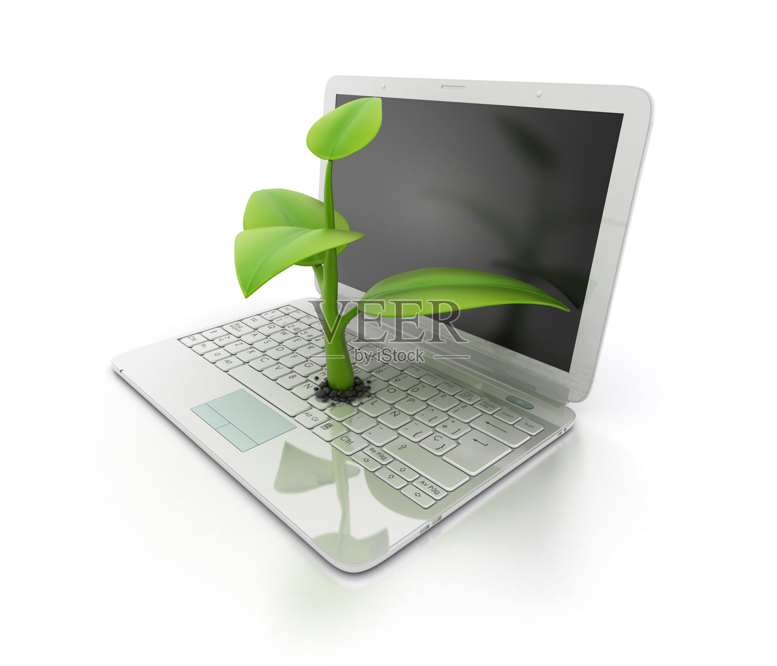 笔记本电脑与植物照片摄影图片