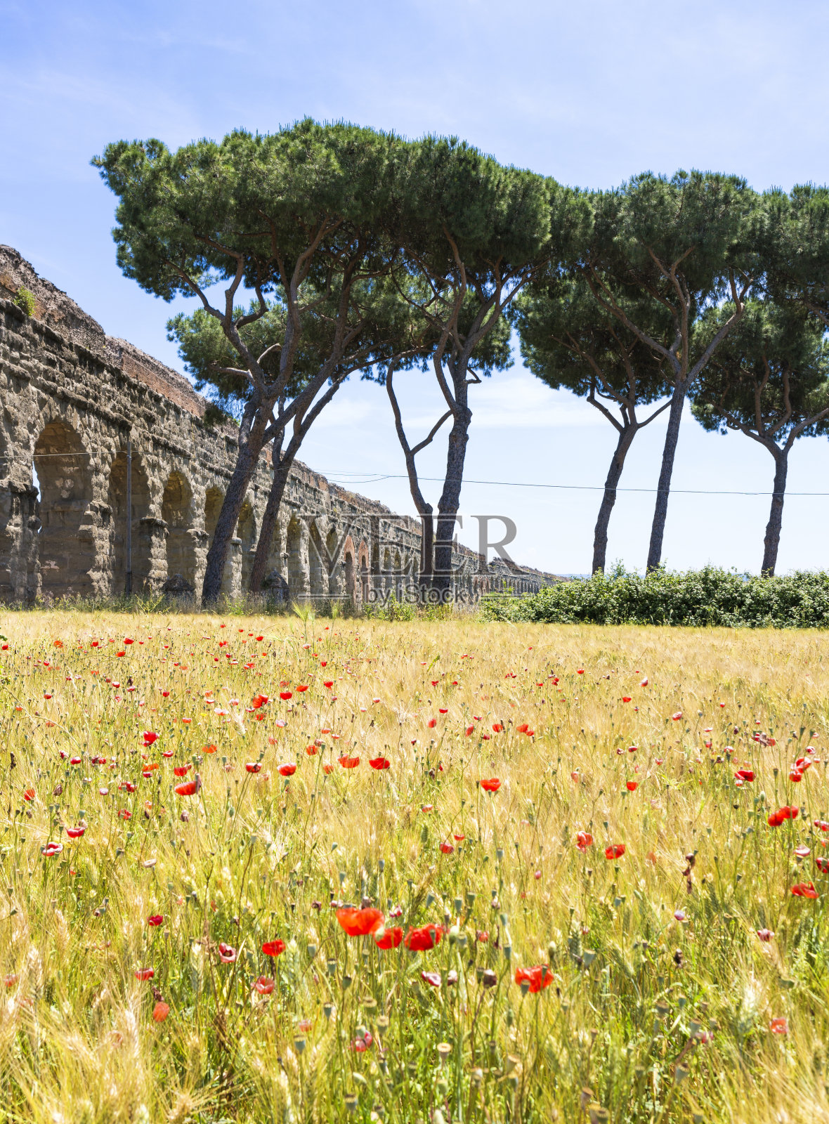 意大利罗马，克劳迪娅水渠照片摄影图片
