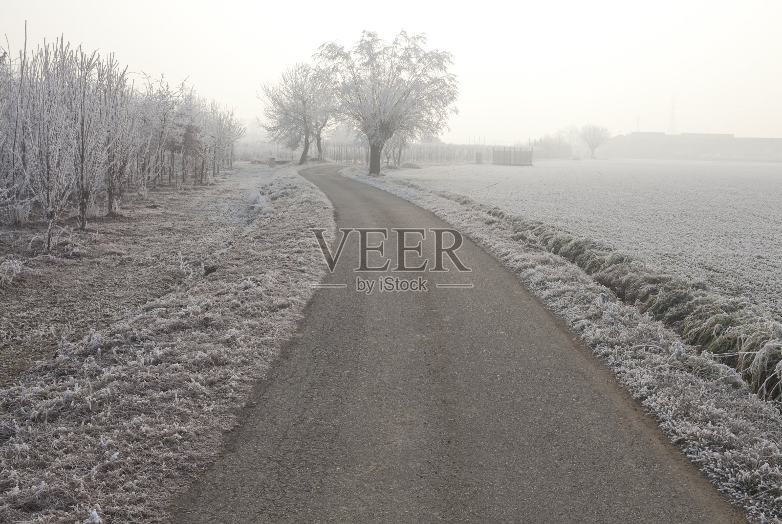 道路穿过意大利皮埃蒙特的冰天雪地。照片摄影图片