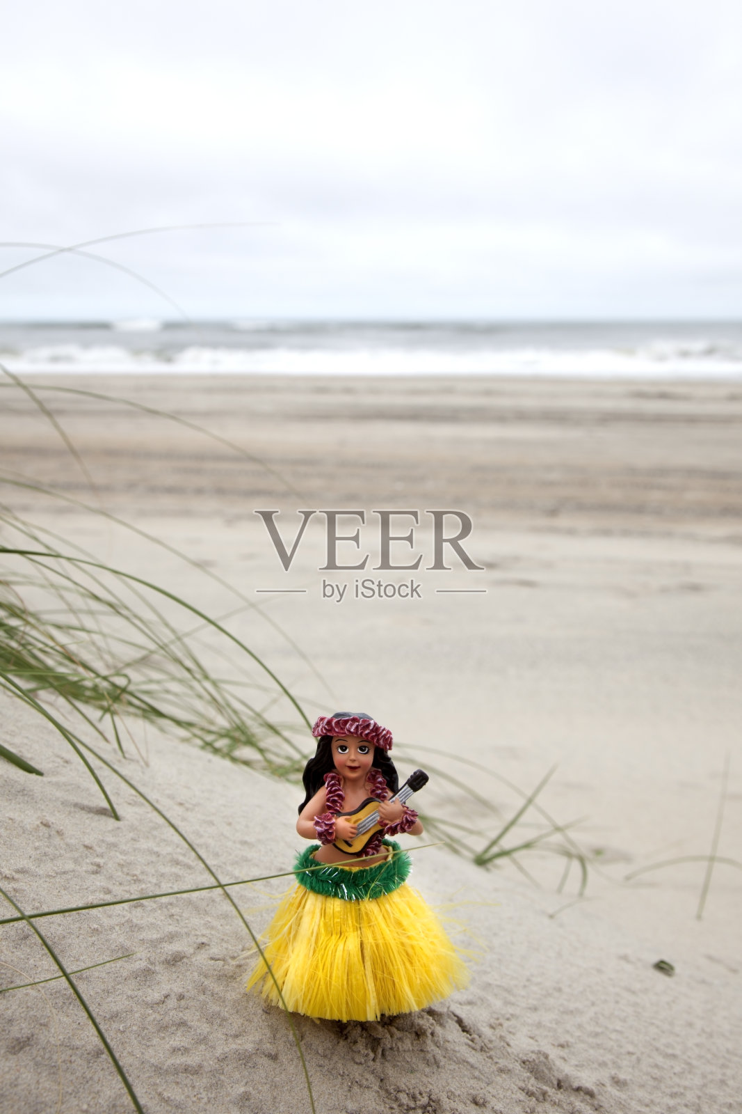 尤克里里琴草裙舞女孩照片摄影图片