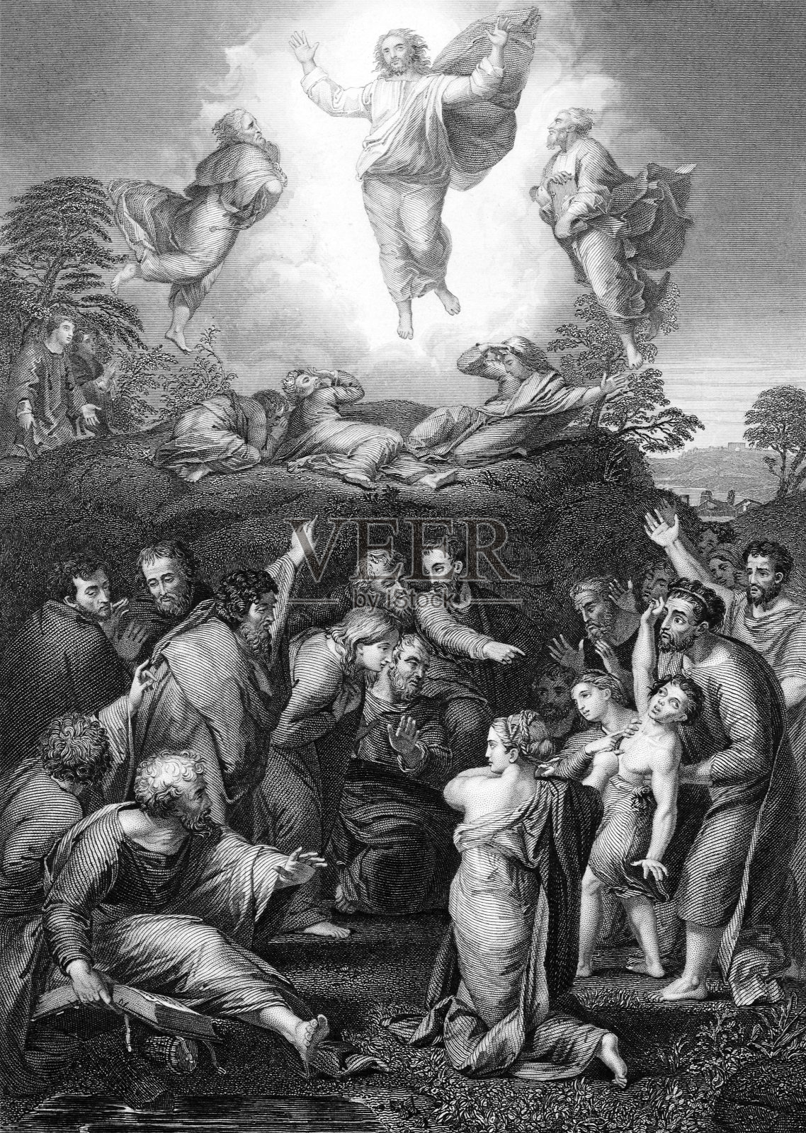 的变形插画图片素材