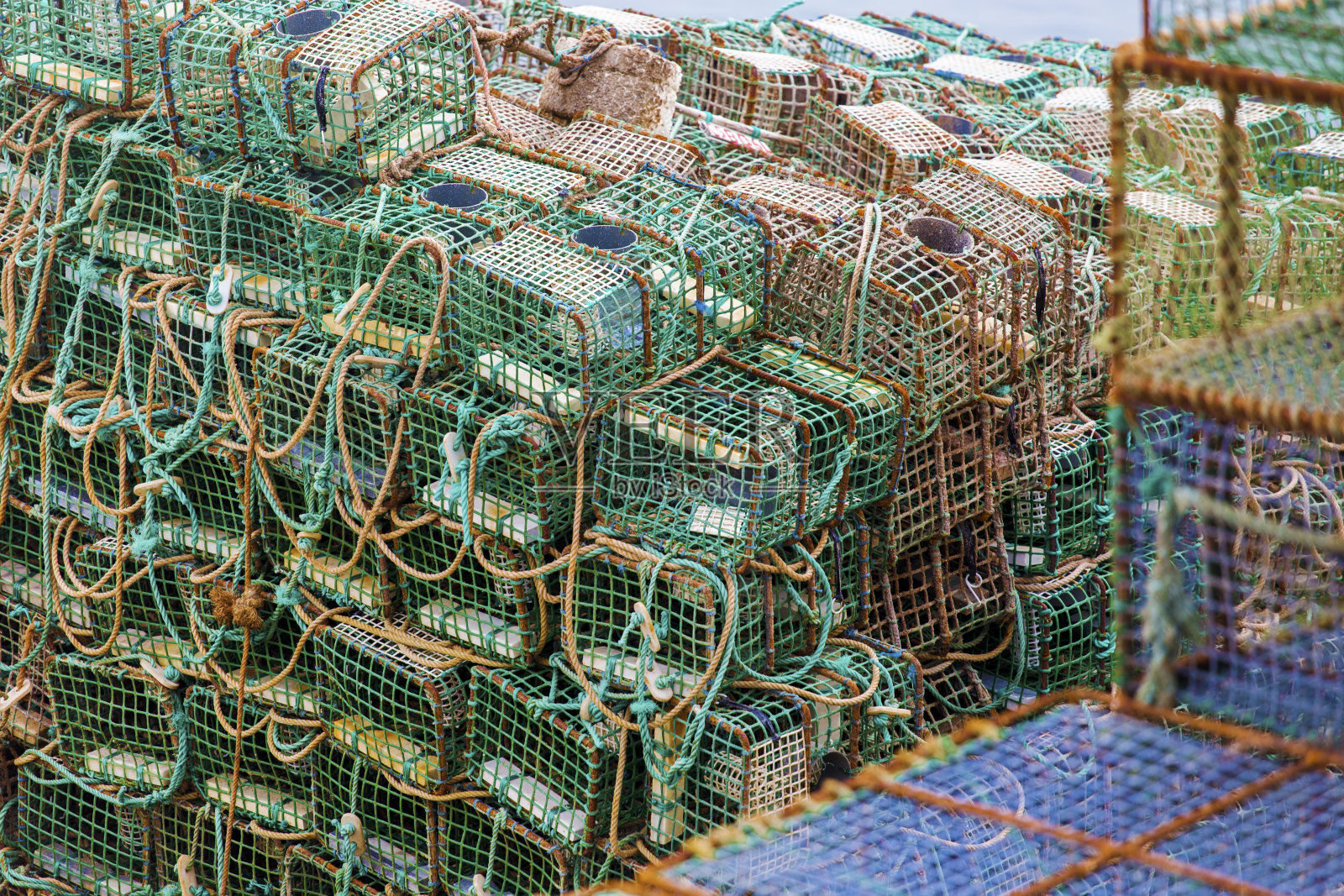 龙虾锅照片摄影图片