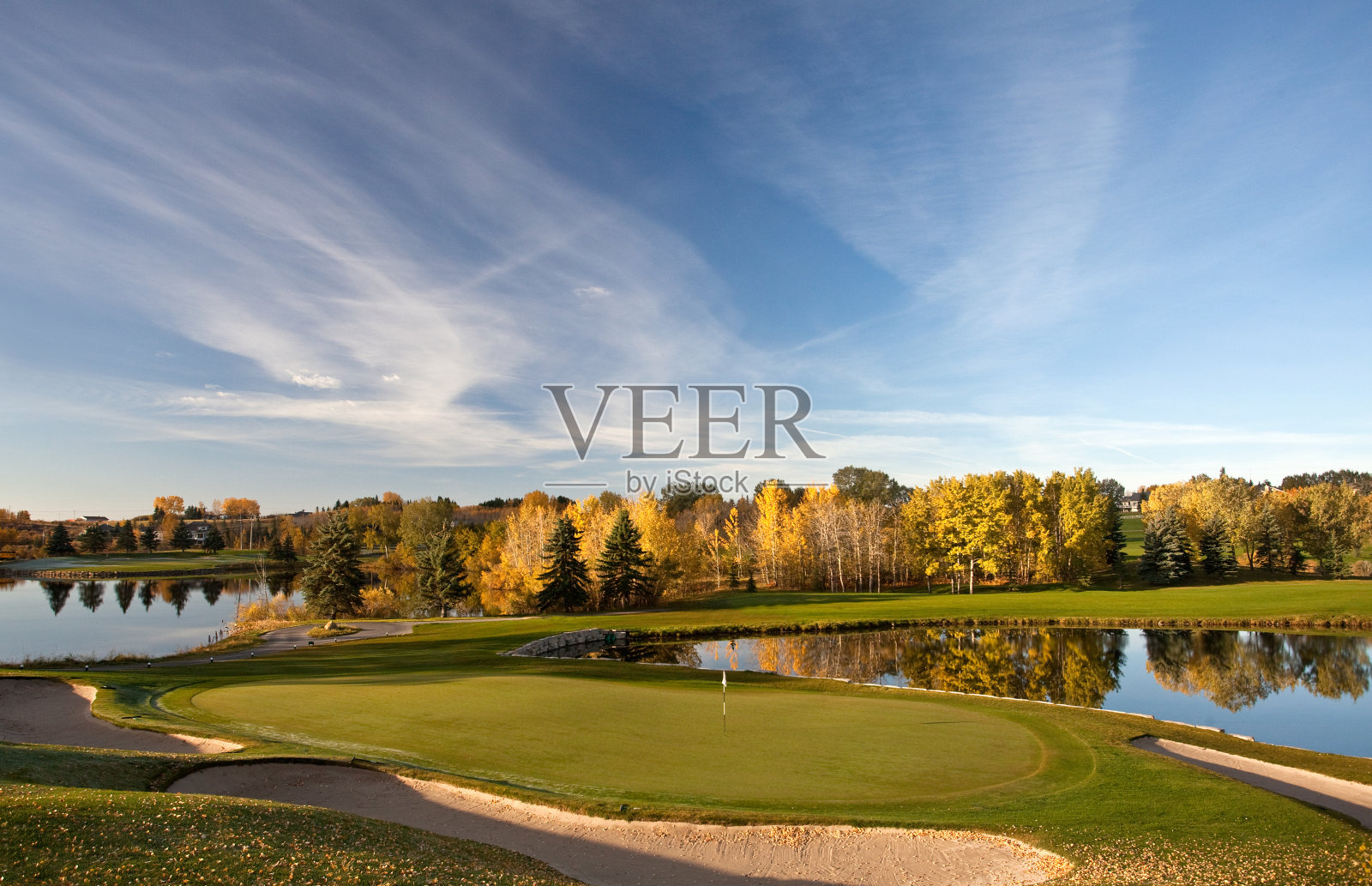 高尔夫绿色照片摄影图片