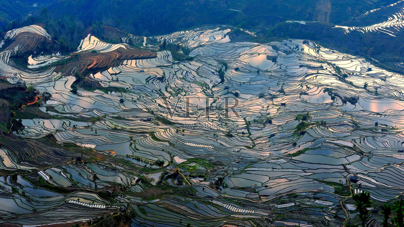 美丽的梯田照片摄影图片