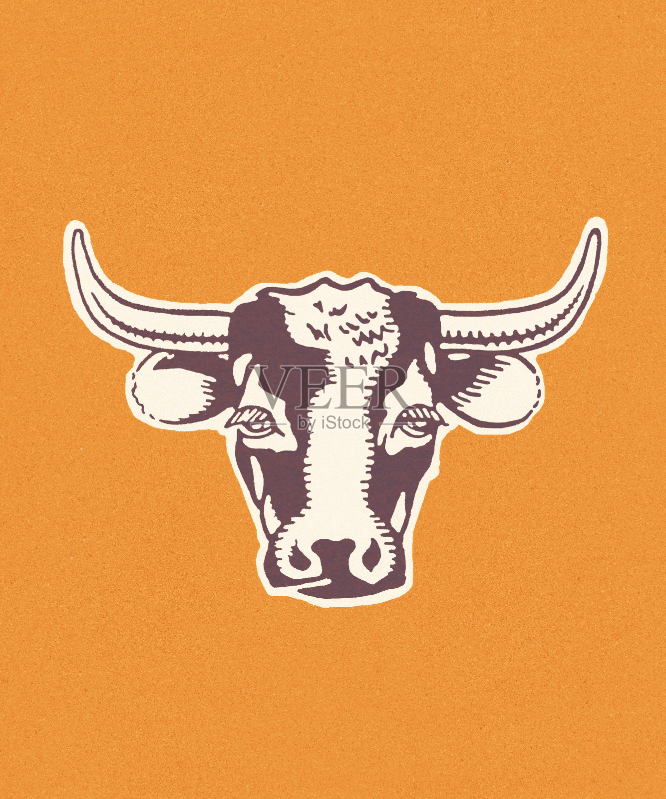 牛照片摄影图片