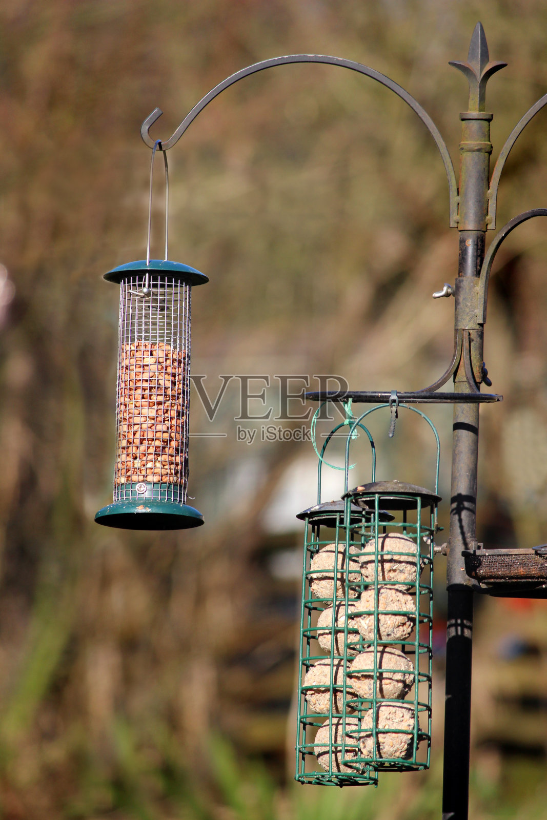 图像的钢丝网和笼螺母野鸟饲料照片摄影图片