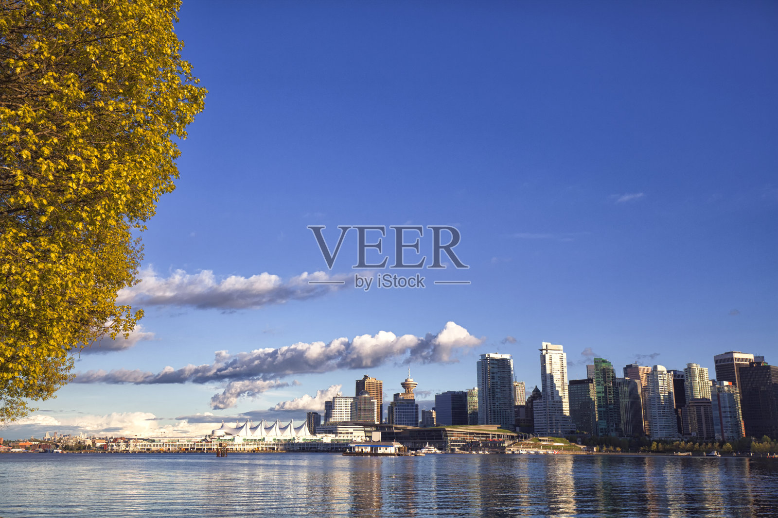 加拿大BC省春季的温哥华天际线照片摄影图片