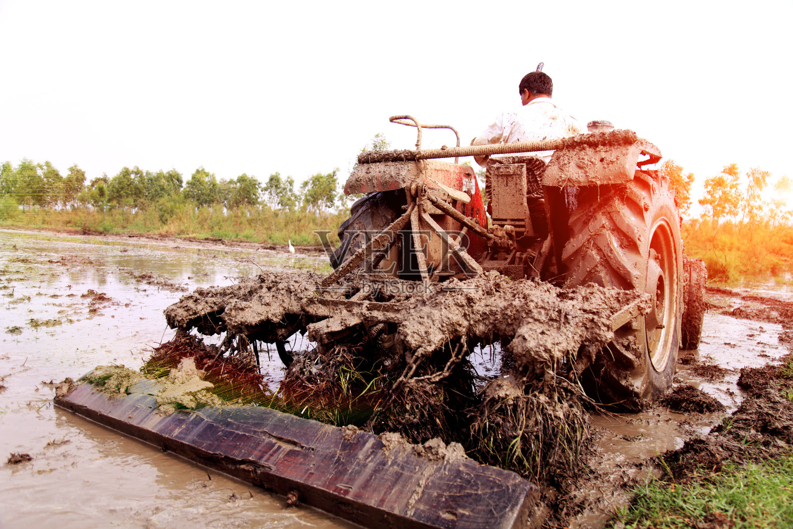 农民耕作领域照片摄影图片