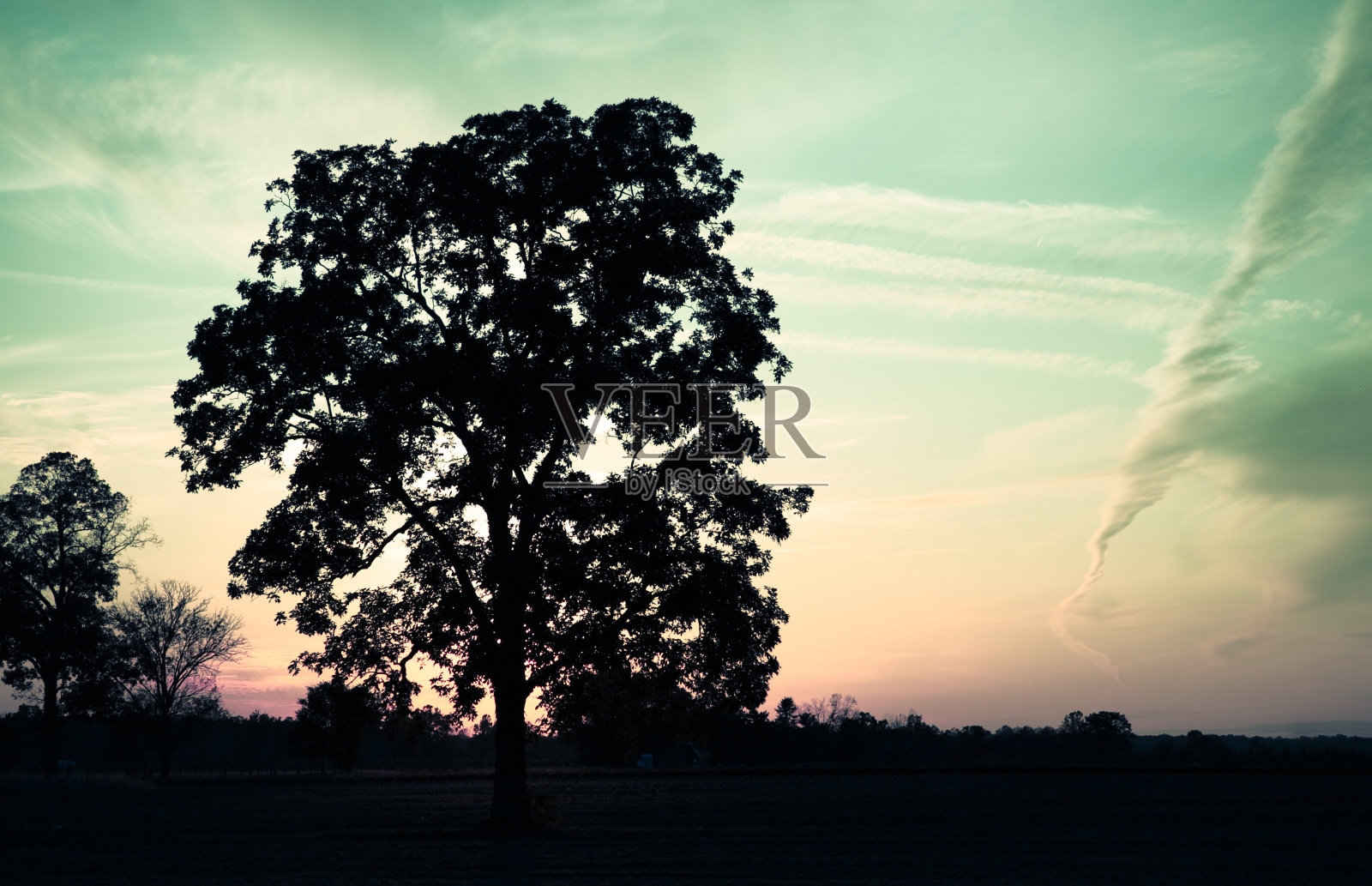 橡树日落照片摄影图片