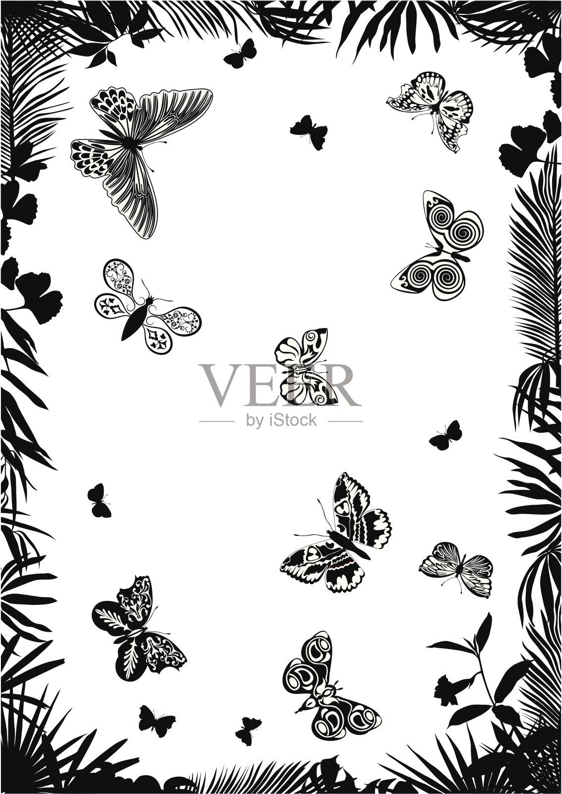 热带框架和蝴蝶。插画图片素材
