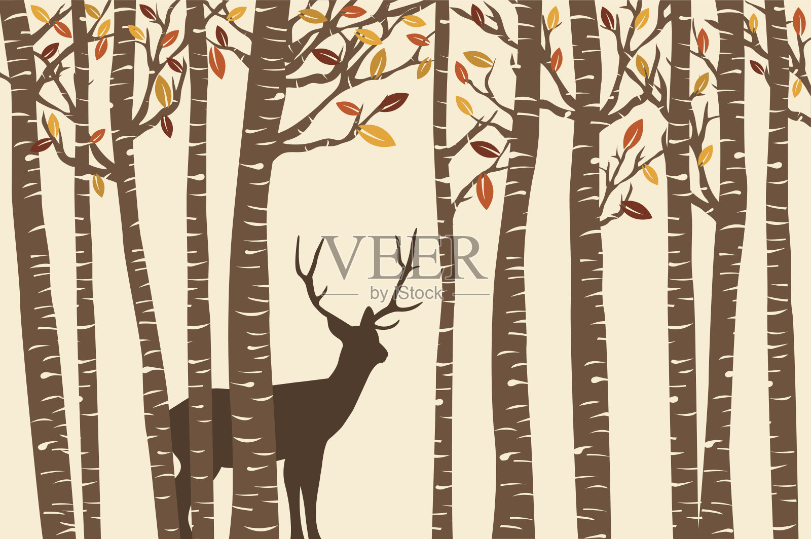 桦树间(秋天)插画图片素材