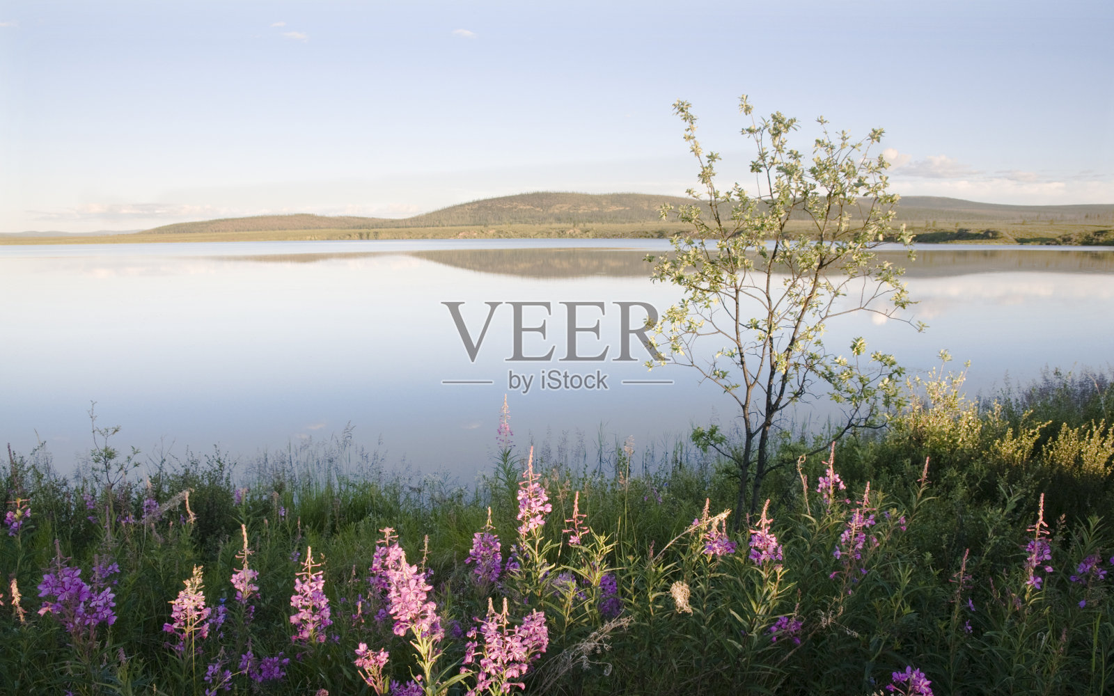 湖。照片摄影图片