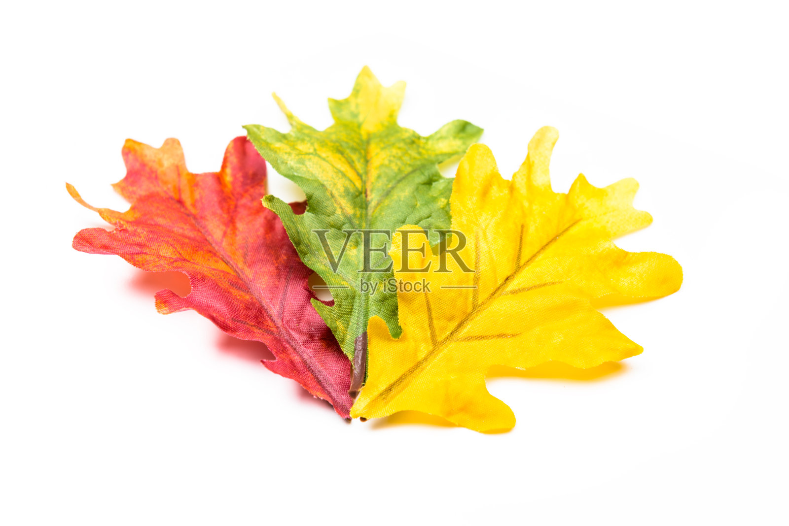 秋叶背景照片摄影图片