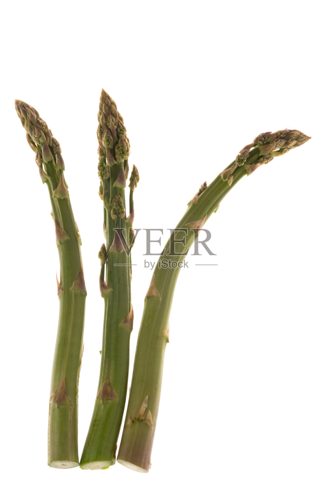 绿芦笋照片摄影图片