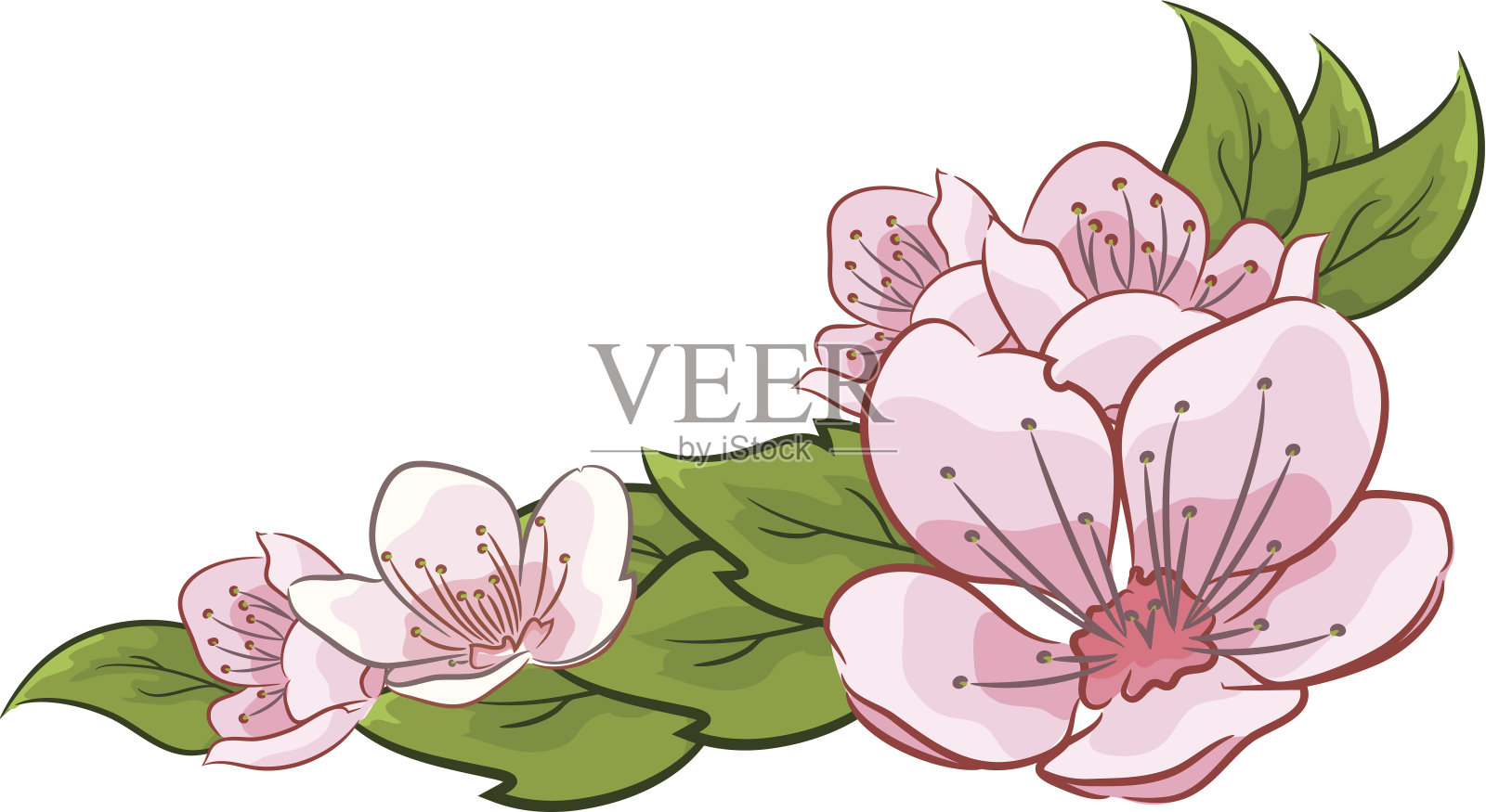 樱桃/樱花开花的元素插画图片素材