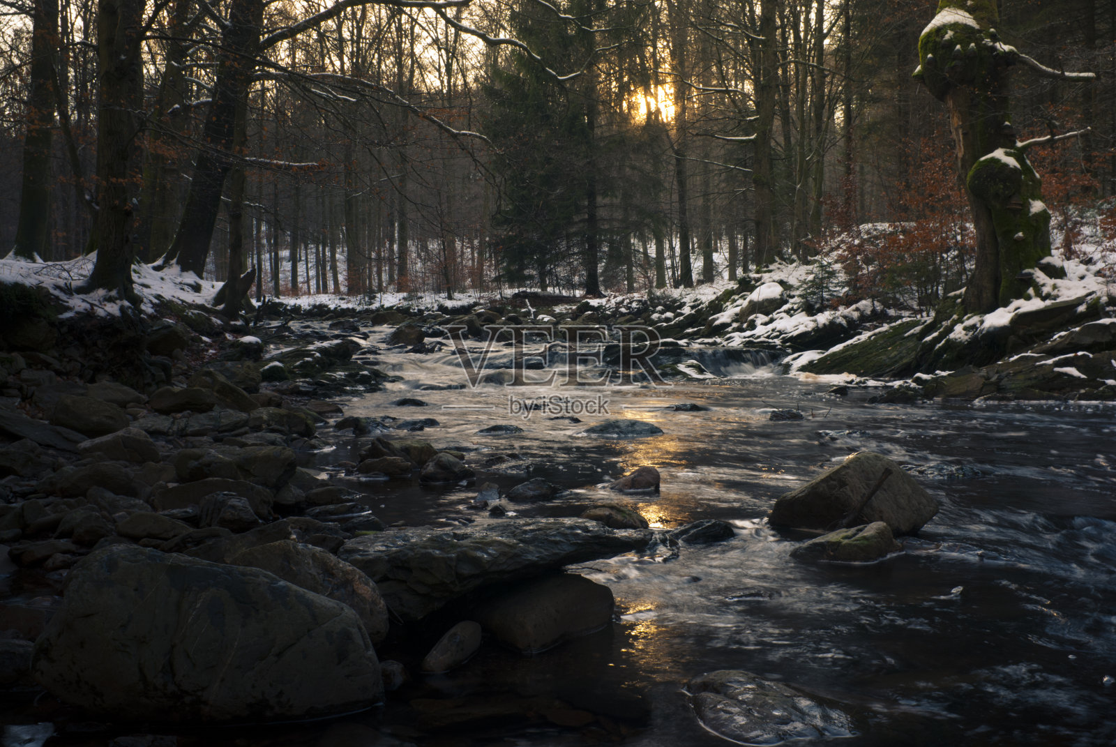 河山在比利时自然保护区高沼泽照片摄影图片