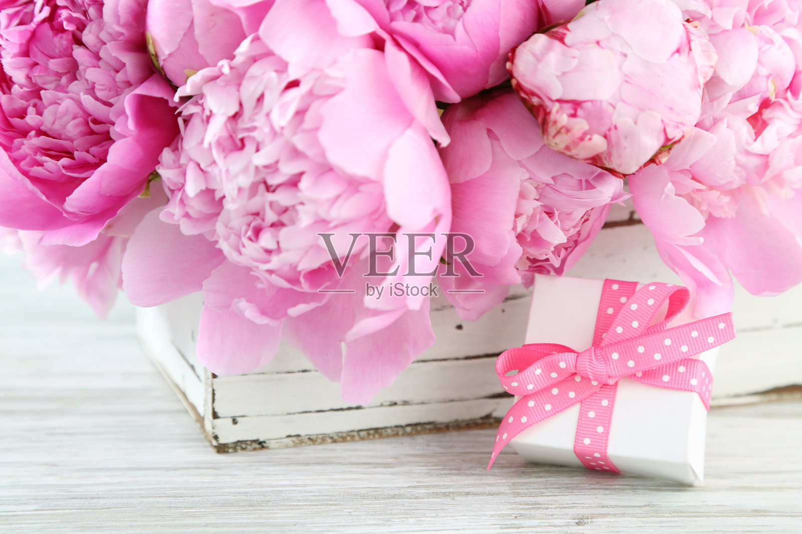 牡丹照片摄影图片