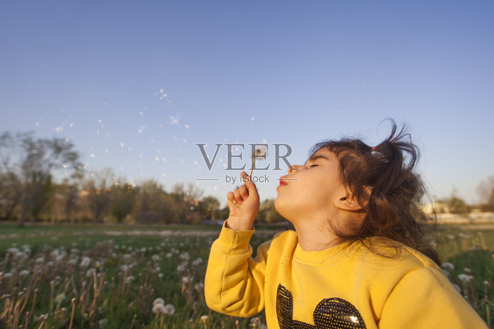 小女孩和蒲公英照片摄影图片