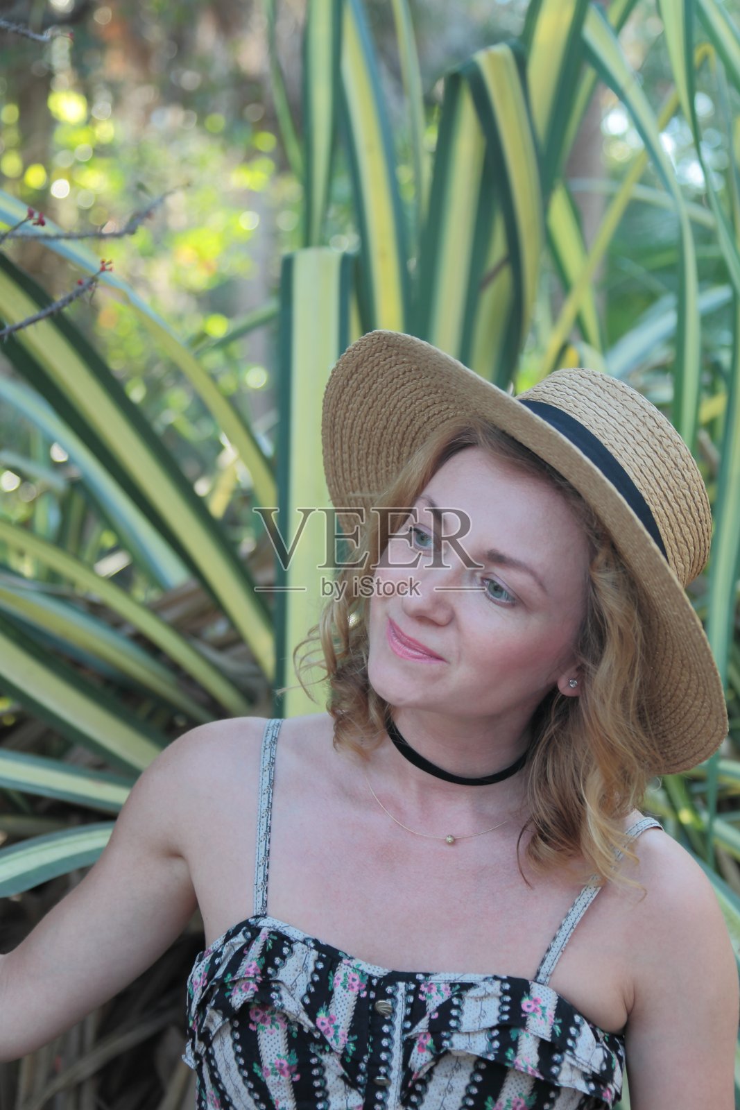 热带公园里的女人。照片摄影图片