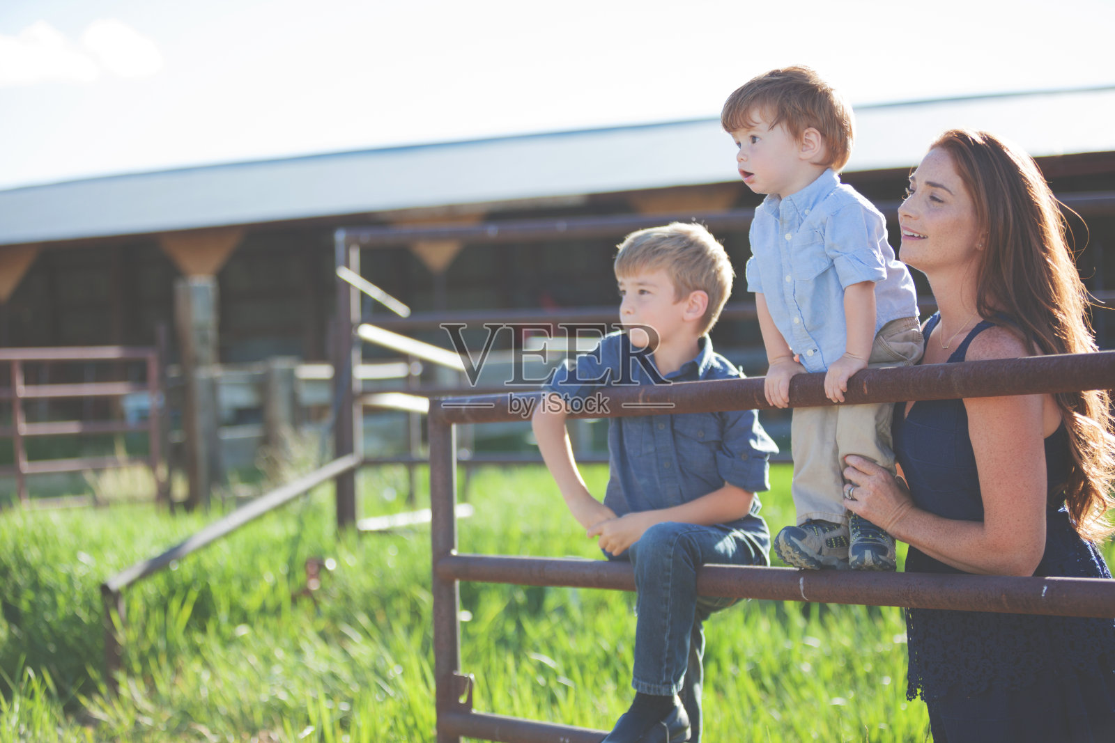 科罗拉多州农场上的年轻美国家庭照片摄影图片