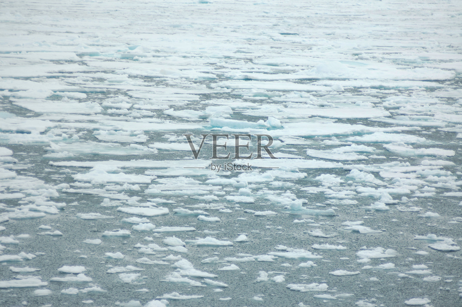 斯匹次卑尔根岛的冰冻海洋照片摄影图片