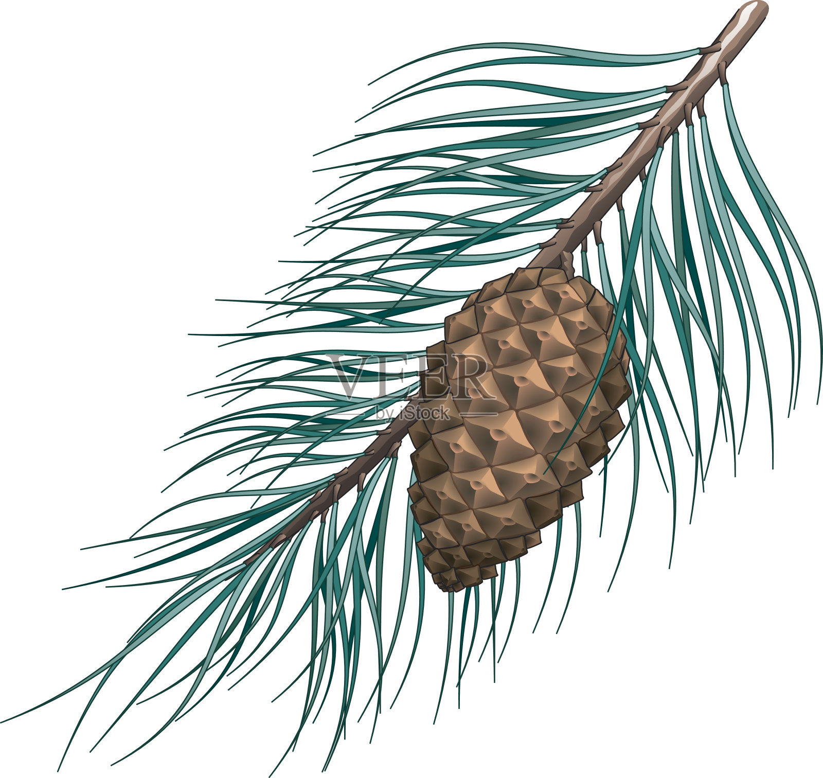 松设计元素图片