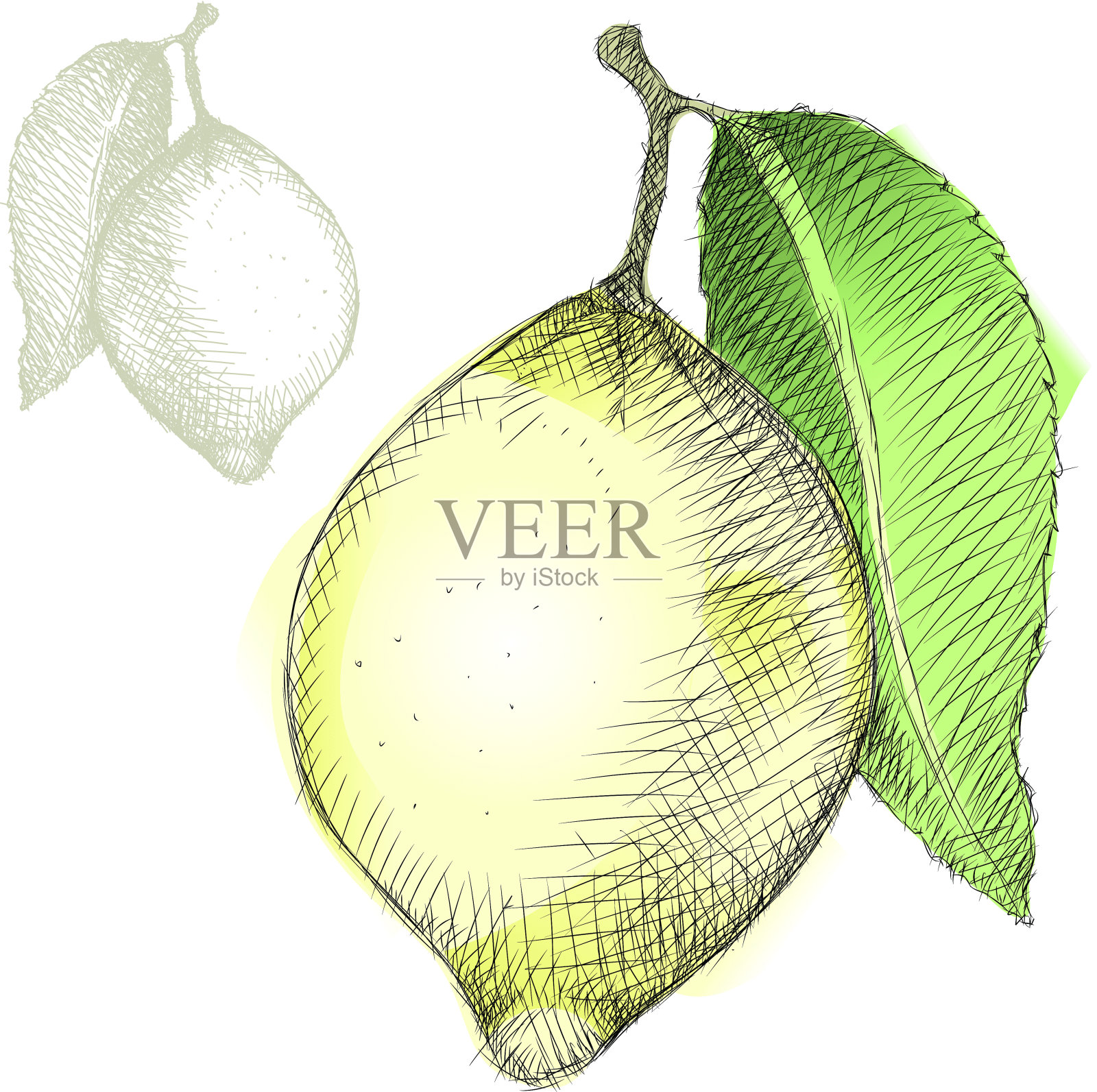 柠檬插画图片素材