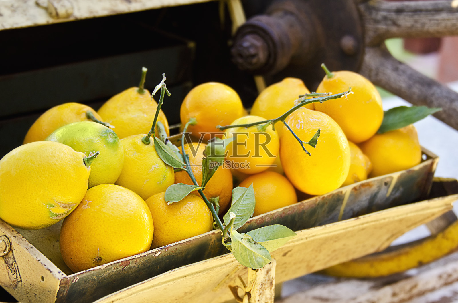 乡村柠檬照片摄影图片