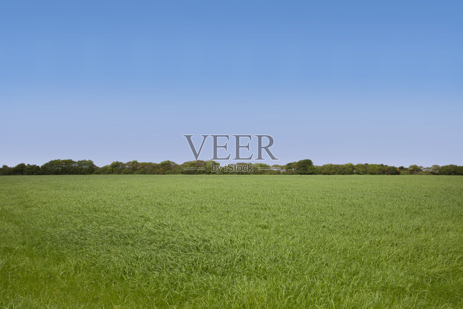 空字段照片摄影图片