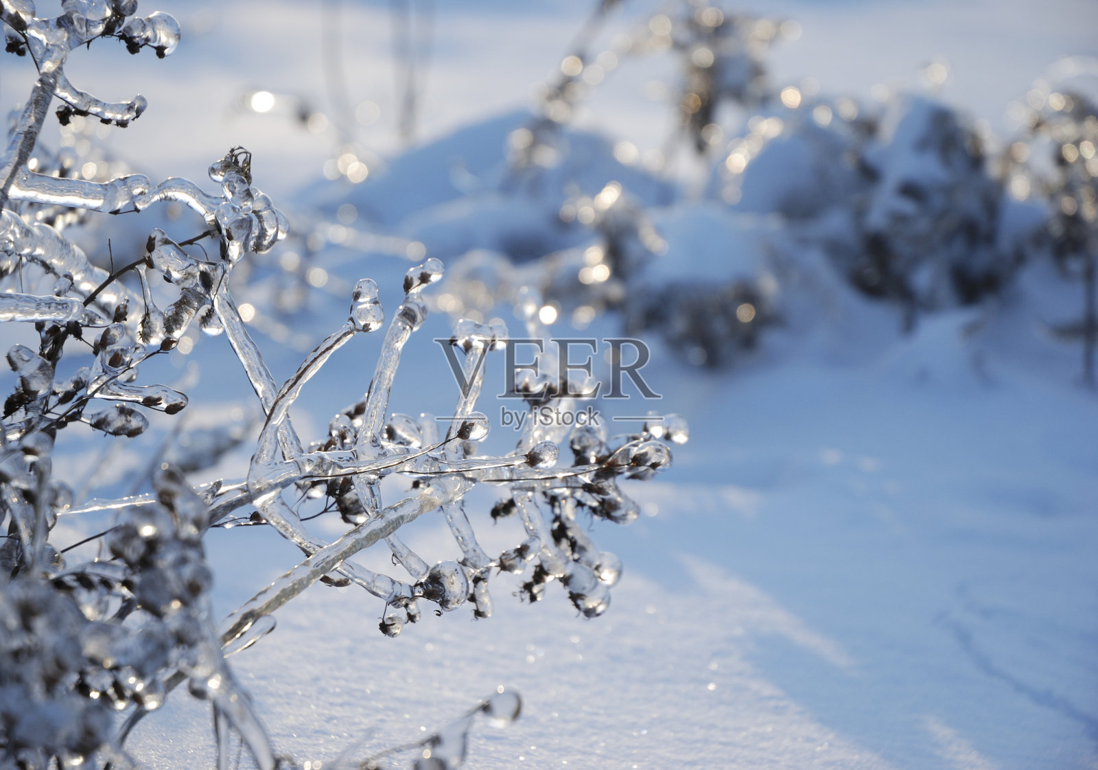 冰雪风暴照片摄影图片