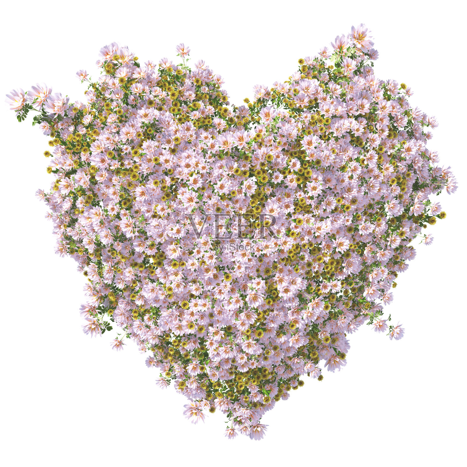 心用鲜花照片摄影图片