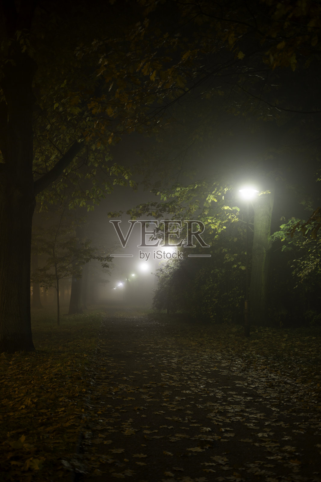 在一个公园里照片摄影图片