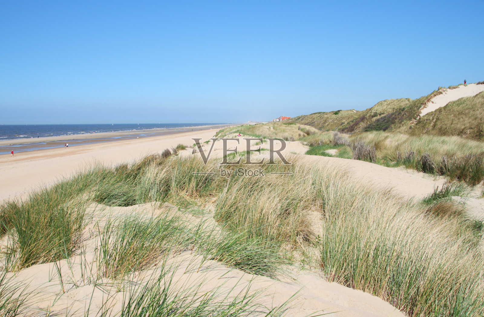 北海有沙丘的海滩照片摄影图片