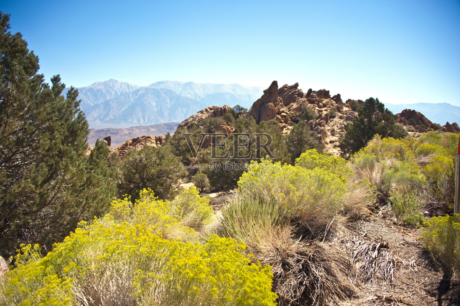 加州的荒野照片摄影图片