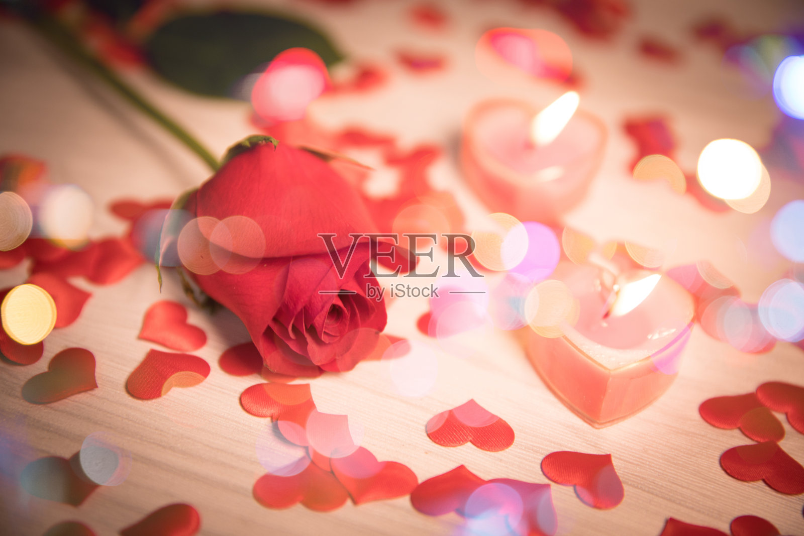 玫瑰照片摄影图片