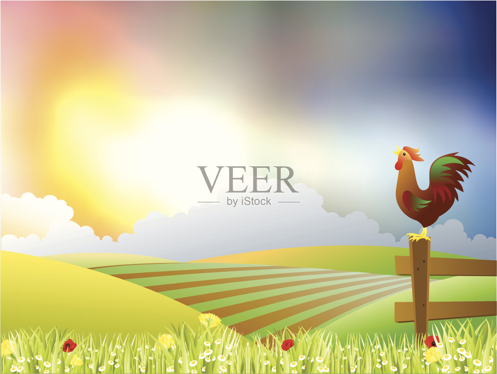 美丽的早晨插画图片素材