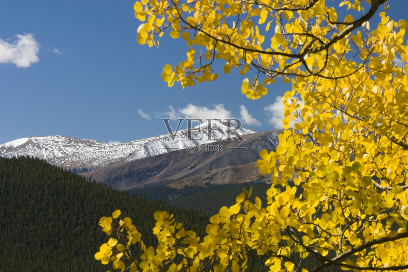 秋天的颜色在北风通过科罗拉多照片摄影图片