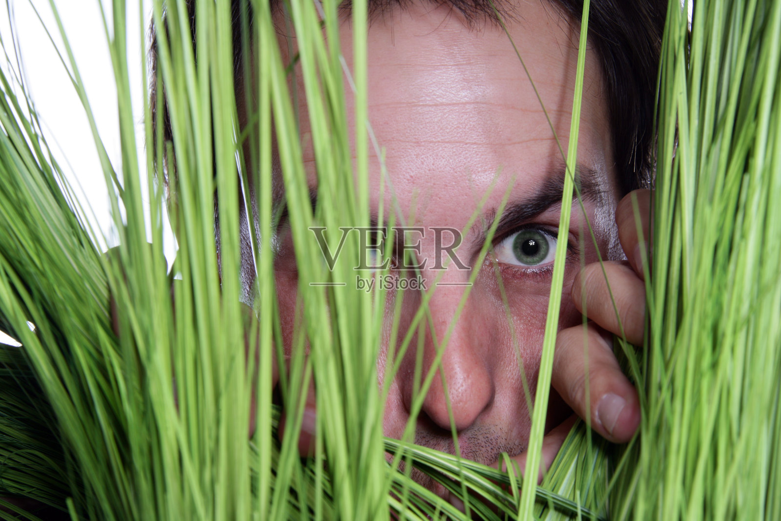 看2照片摄影图片