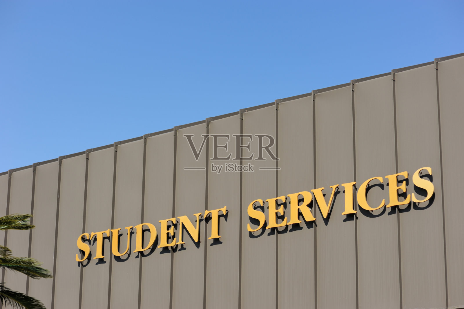 学生服务照片摄影图片